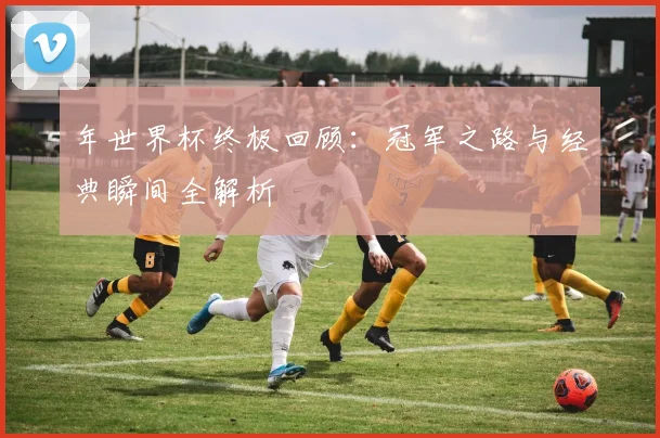 年世界杯终极回顾:冠军之路与经典瞬间全解析